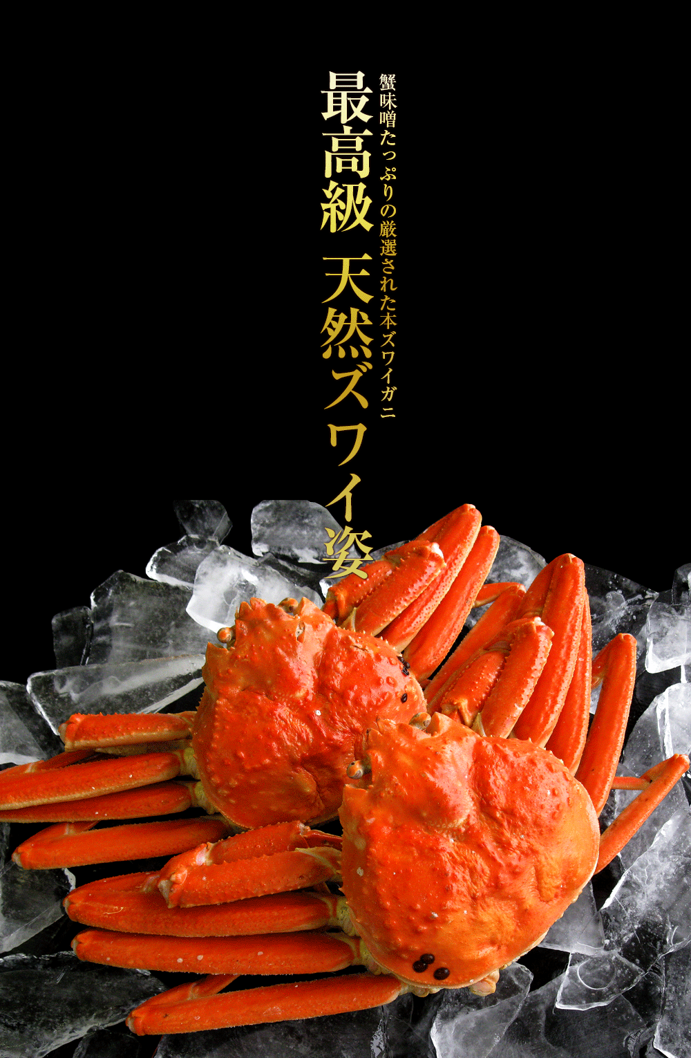 ズワイガニ 大サイズ 蟹味噌たっぷりの厳選品 ボイル済み 天然 ずわい蟹 姿 約600g