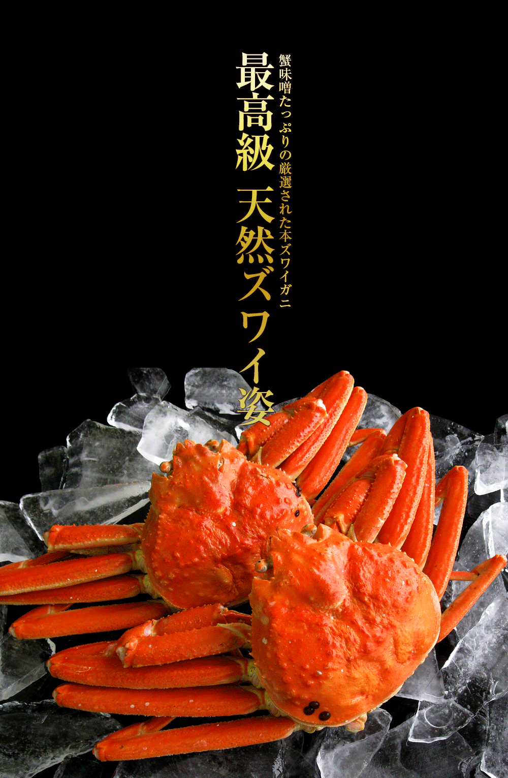 大サイズ　姿　ずわい蟹　蟹味噌たっぷりの厳選品　ズワイガニ　天然　約600g×2尾　海産物通販の海夢　ボイル済み