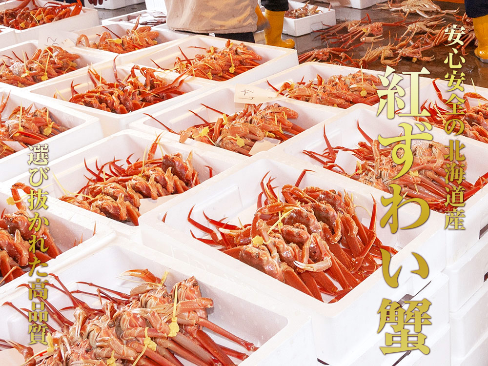 海産物通販の海夢 / 紅ズワイガニ ポーション 北海道産 棒肉 殻無し むき身 茹で バター焼き サラダ など 紅ずわい蟹 棒ポーション 約150g