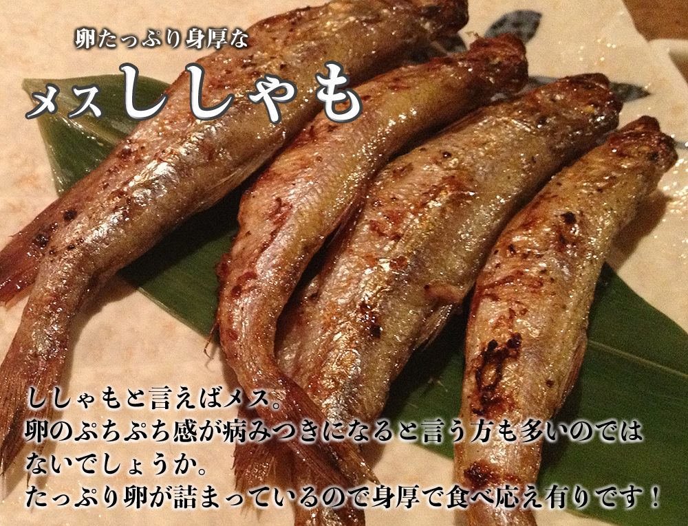 希少な本物　シシャモ　柳葉魚　本　天然　北海道産　ししゃも　海産物通販の海夢　メス