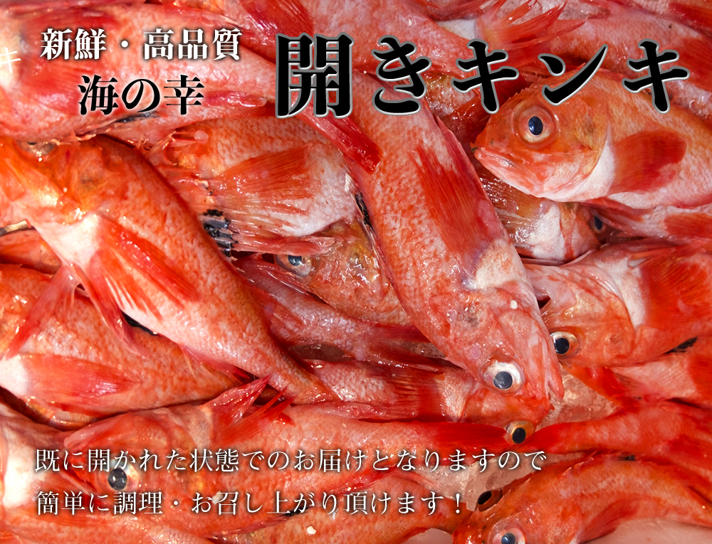 海産物通販の海夢　一汐キンキ　キンキ　吉次　開き　特大サイズ　高級魚　味わい深い濃厚な旨味