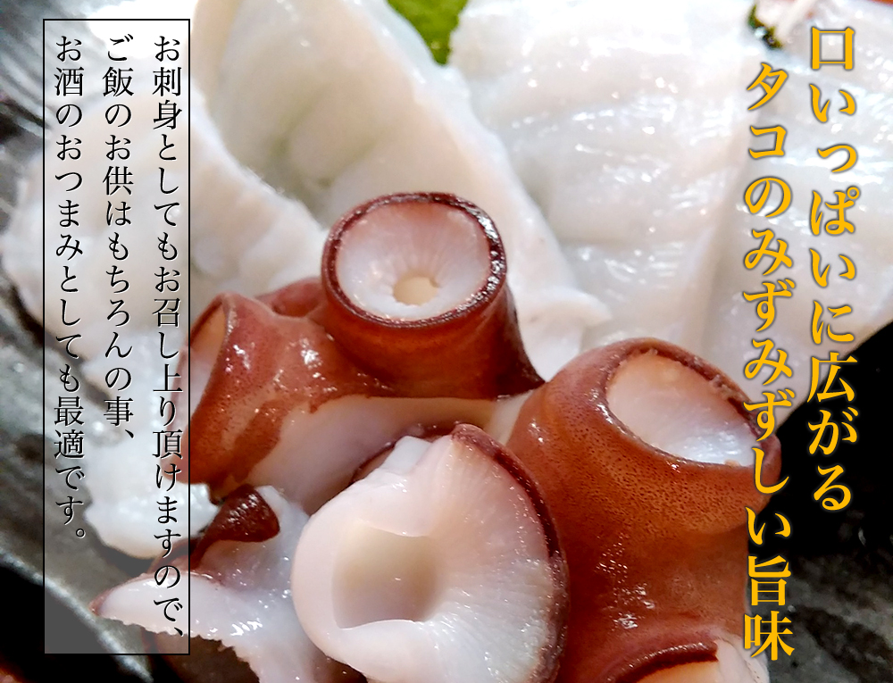 タコ 刺身用 北海道産 大きなタコ足を1本そのまま 刺身 たこ焼き 蛸 大サイズ タコ 約1kg 海産物通販の海夢