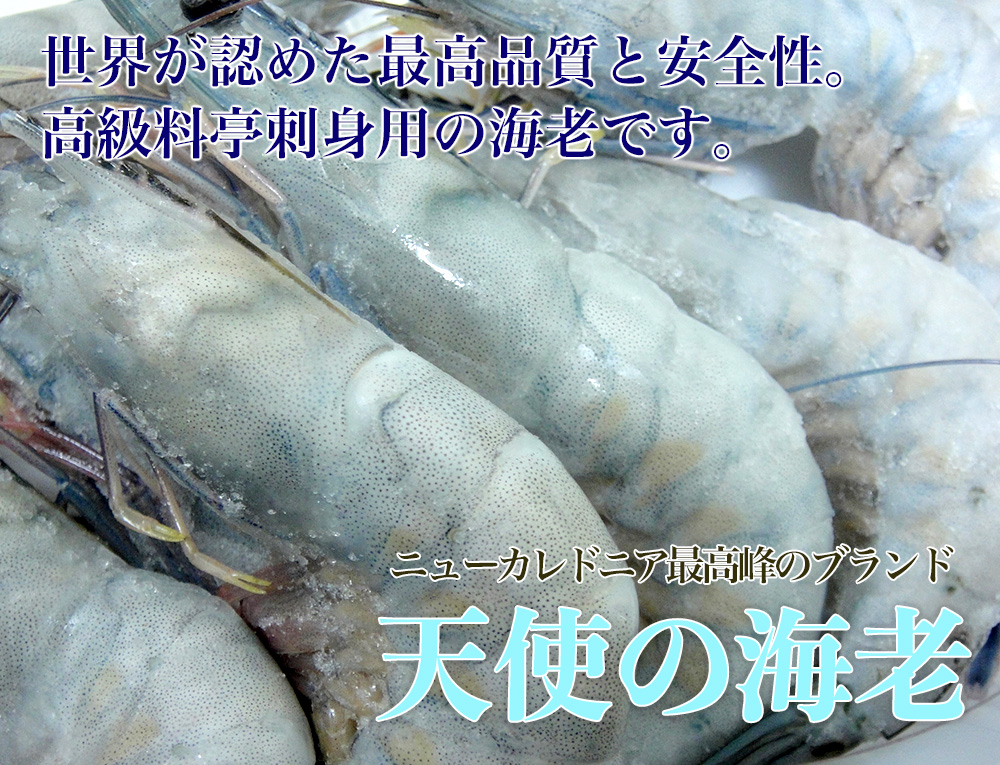 海産物通販の海夢 / 天使の海老 刺身用 高級料亭御用達 世界最高品質の海老 天使のエビ 約1kg