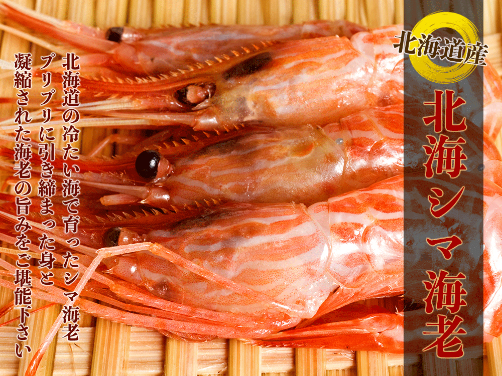 北海道産　北海シマエビ　海産物通販の海夢　ボイル済み　北海しまえび　縞海老　絶品海老味噌　約500g